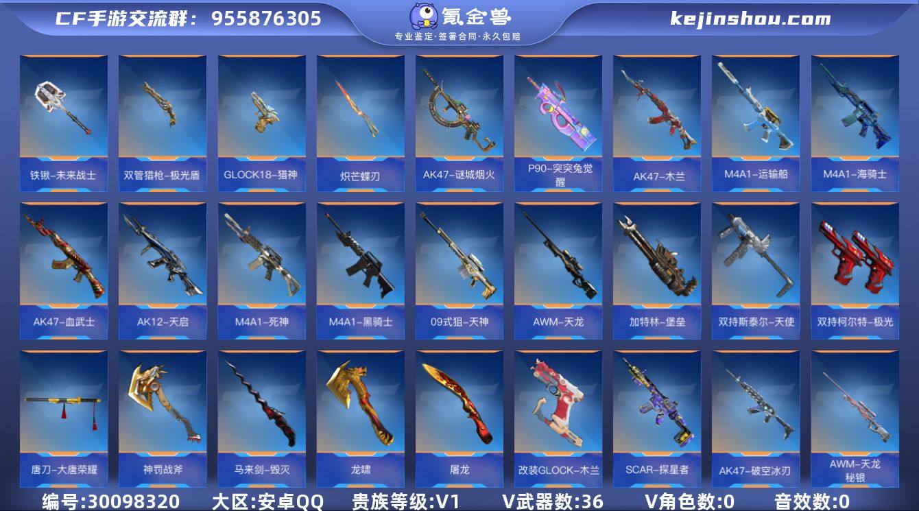 贵族等级:V1 王者武器数:0 v武器数:36