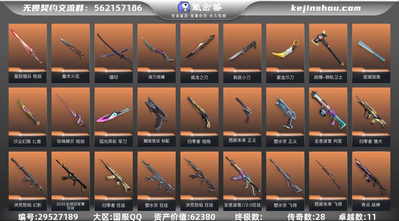 传奇数:28 卓越数:11 皮肤资产价值:...