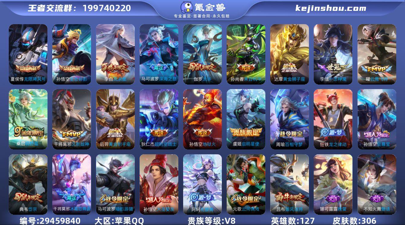 贵族8/皮肤306/典藏2/传说15/史诗...