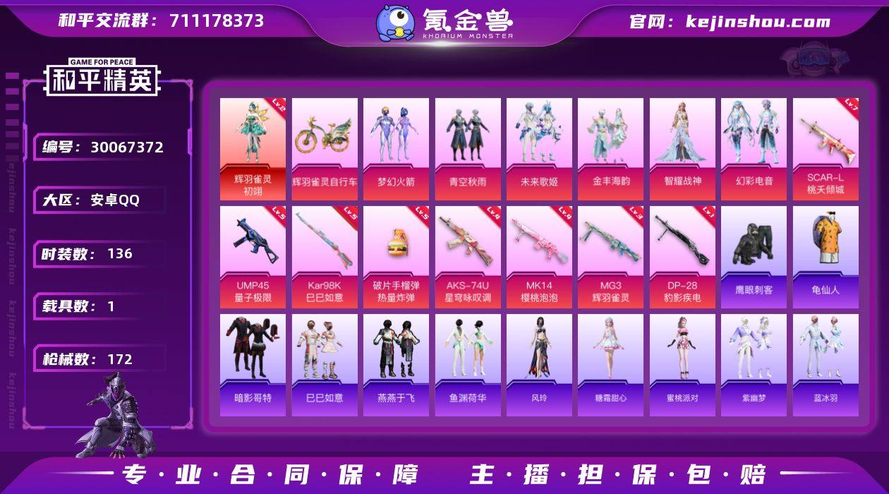 安卓 手Q-1神装-6粉装-8特效枪-1载...