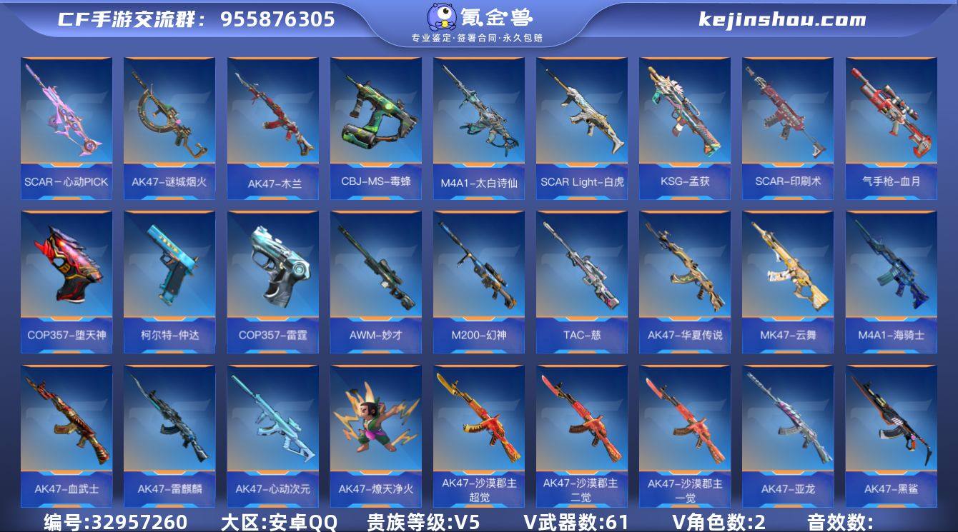 x2146  VIP5级，王尊，王魂，王心...