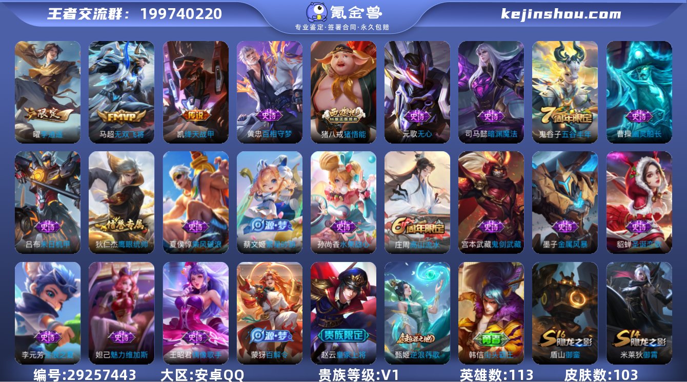 安卓Q-V0-尊贵铂金II段位-113英雄...