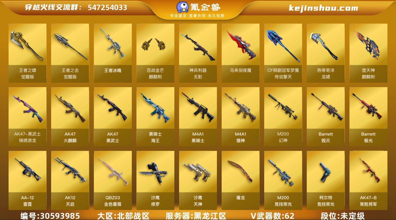 黑龙江区-63V-9王者-2炫金
【热门武...