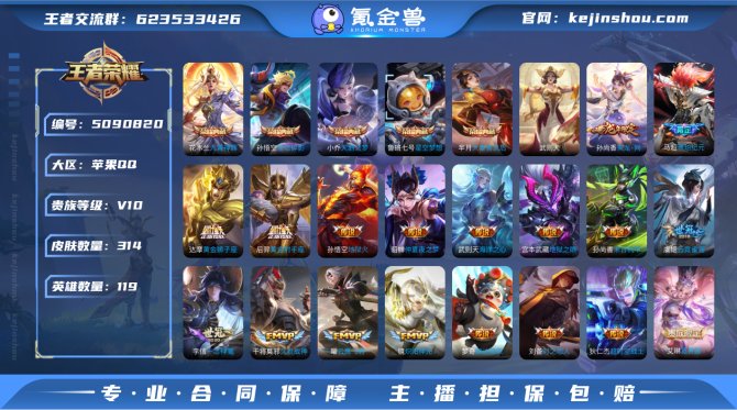 DYW95【v10九霄神辉 星空梦想 全息...