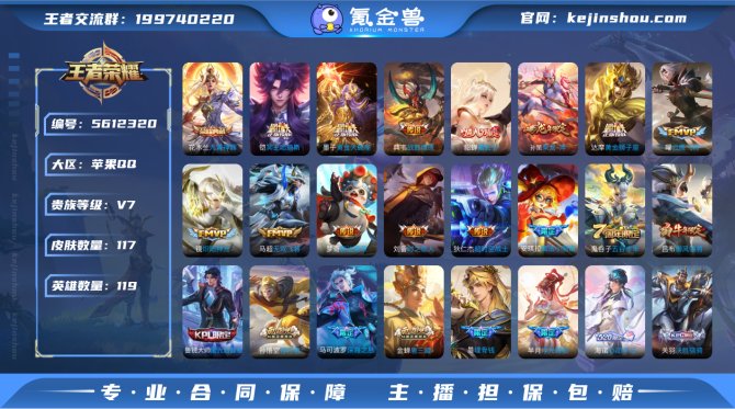 dx iOS可改实名【九霄神辉】1典藏 1...