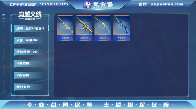 JYSY308VIP：V6 王者武器3/英...