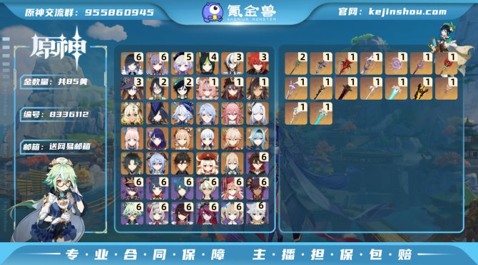 氪金兽