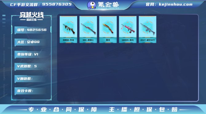 实名: 可修改 v武器数: 5 v武器: ...