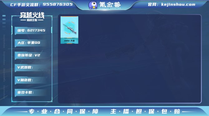 实名: 可修改 v武器: AWM-天使 亮...