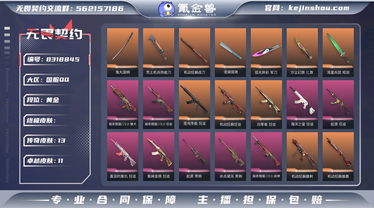 13橙皮 11紫皮 77皮肤 27英雄 1...