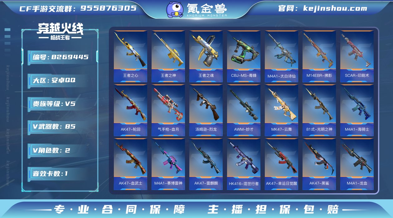 【LQZ37】VIP5/85V/3王者/王...