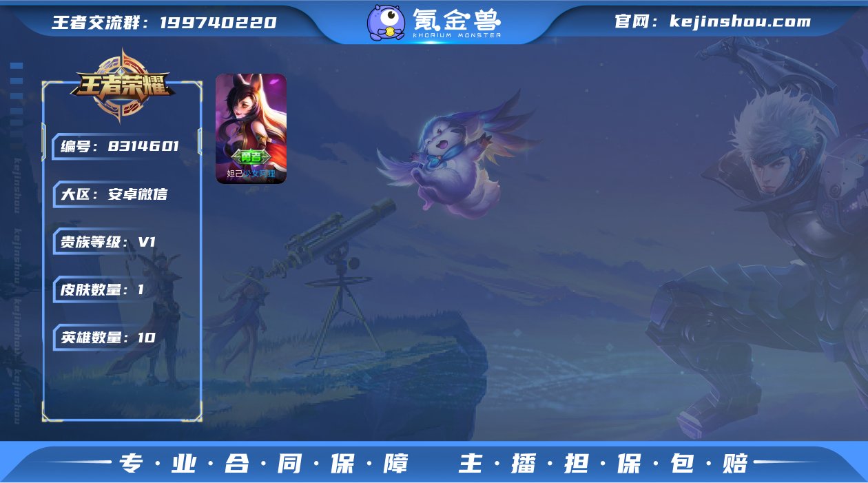 【1皮肤】安卓V区-10英雄-1皮肤【勇者...