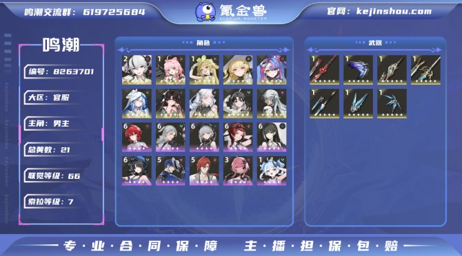 氪金兽