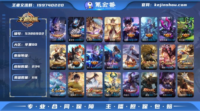 小玥 234皮肤3典藏10传说iOS【差1...