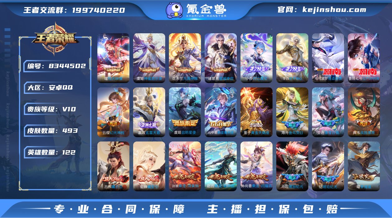 秒杀 V10 493皮肤4典藏2无双2珍品...