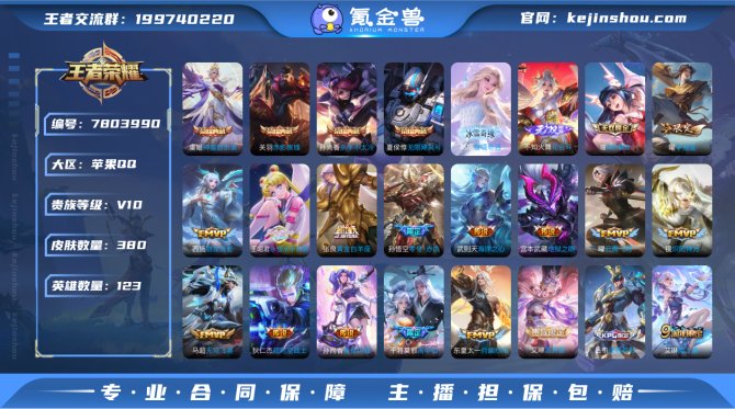 V10 4典藏 3无双 2珍品传说 22传...