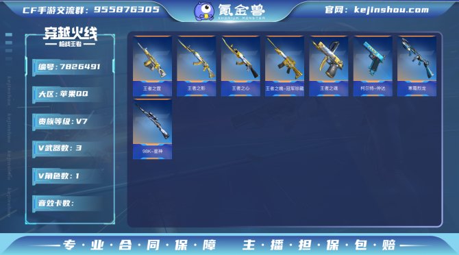 VIP：V7 王者武器7/英雄级武器170...