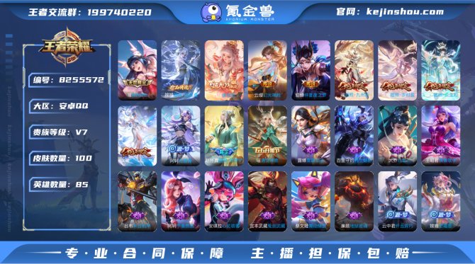 氪金兽