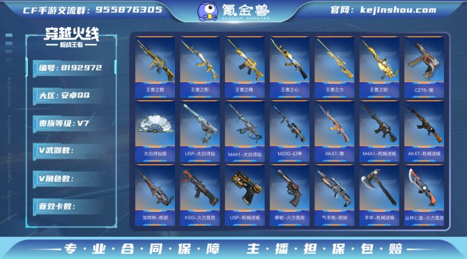 氪金兽