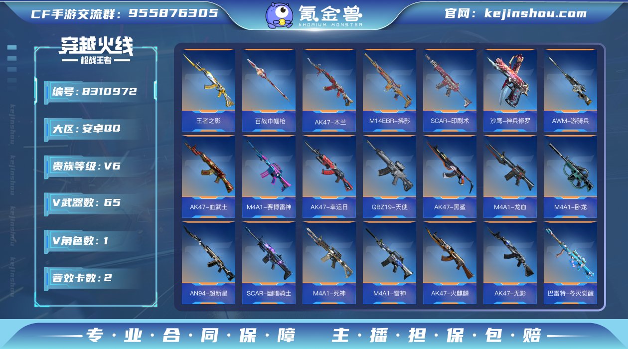 实名: 不可修改 v武器数: 65 王者武...