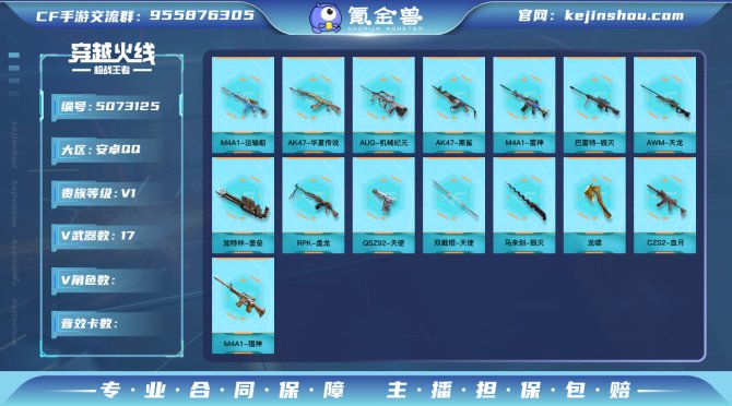 实名: 可修改 v武器数: 17 v武器:...