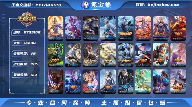 wd-【九霄神辉】21传说285皮肤 玉鸾...