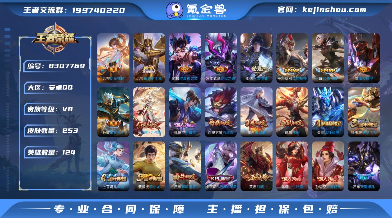 253皮15传说2典藏1珍品2星元 可改实...