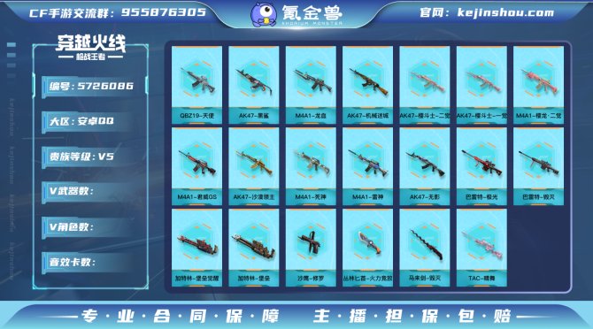 【QZ37】VIP5/AK47-无影/M4...