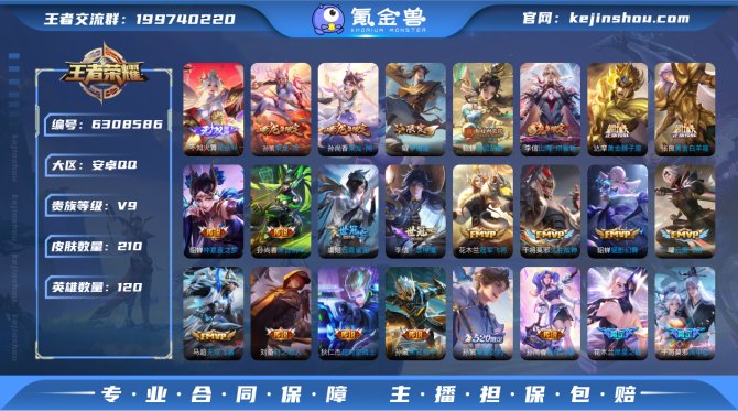 【V9/花合斗】可改实名210皮4典藏1无...