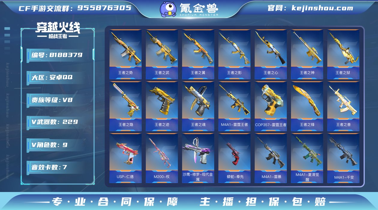 实名: 可修改 v武器数: 229 王者武...