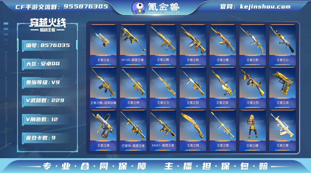 实名: 可修改 v武器数: 229 王者武...
