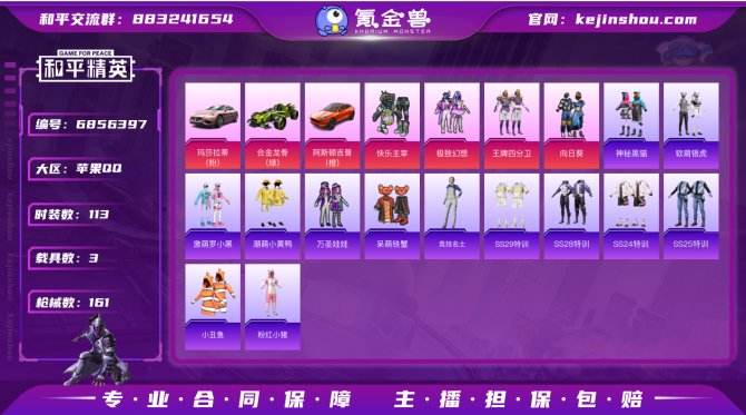 IOS【粉玛莎+绿合金龙骨+满级AKM炫紫...