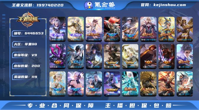 sd - iOS 200皮肤2无双1典藏2...