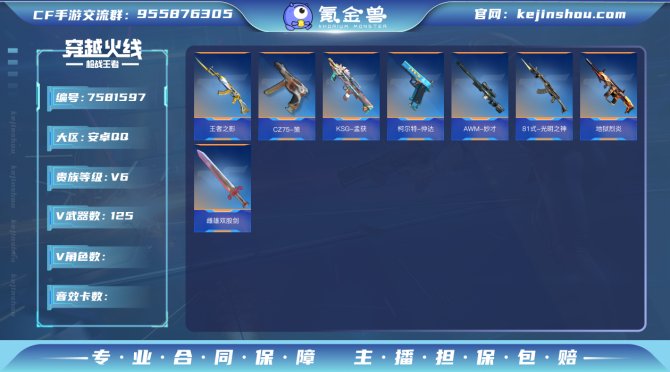 实名: 可修改 v武器数: 125 王者武...