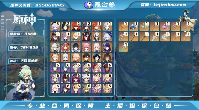 氪金兽