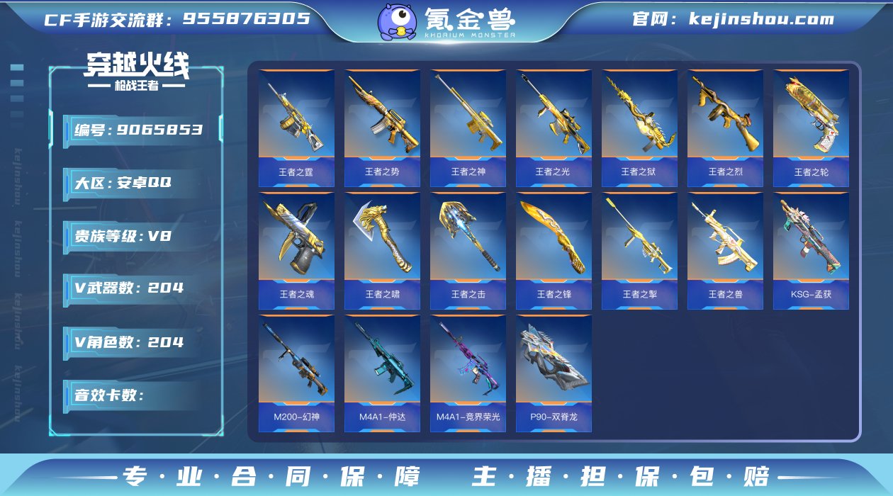 62251_心至尊/19王者/仲达套/幻神...