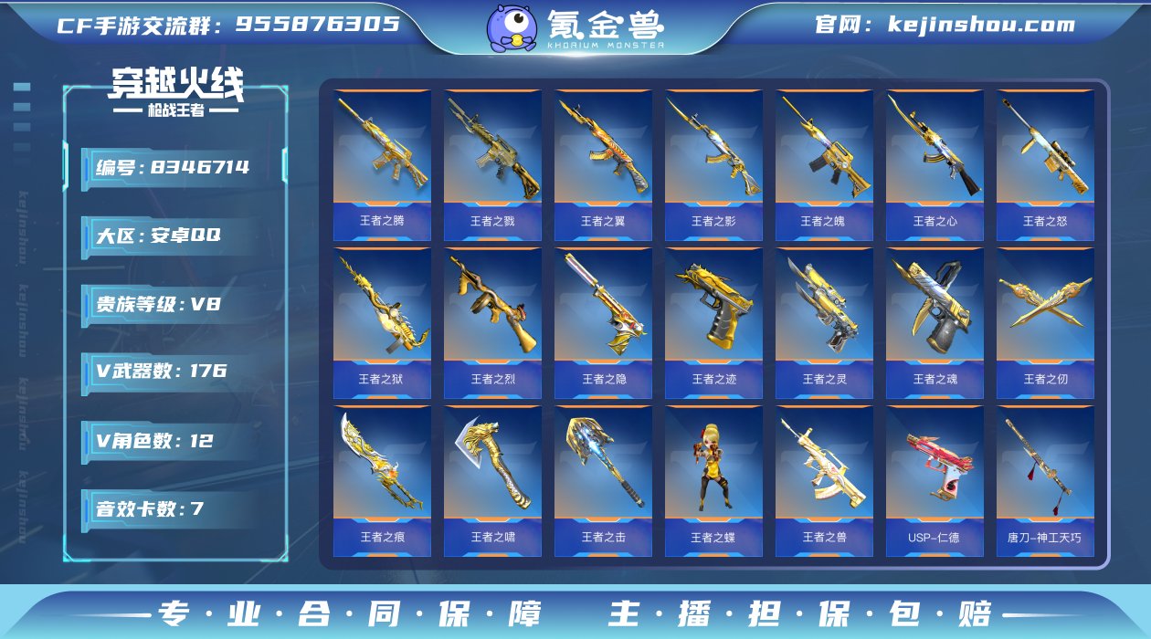 实名: 可修改 v武器数: 176 王者武...