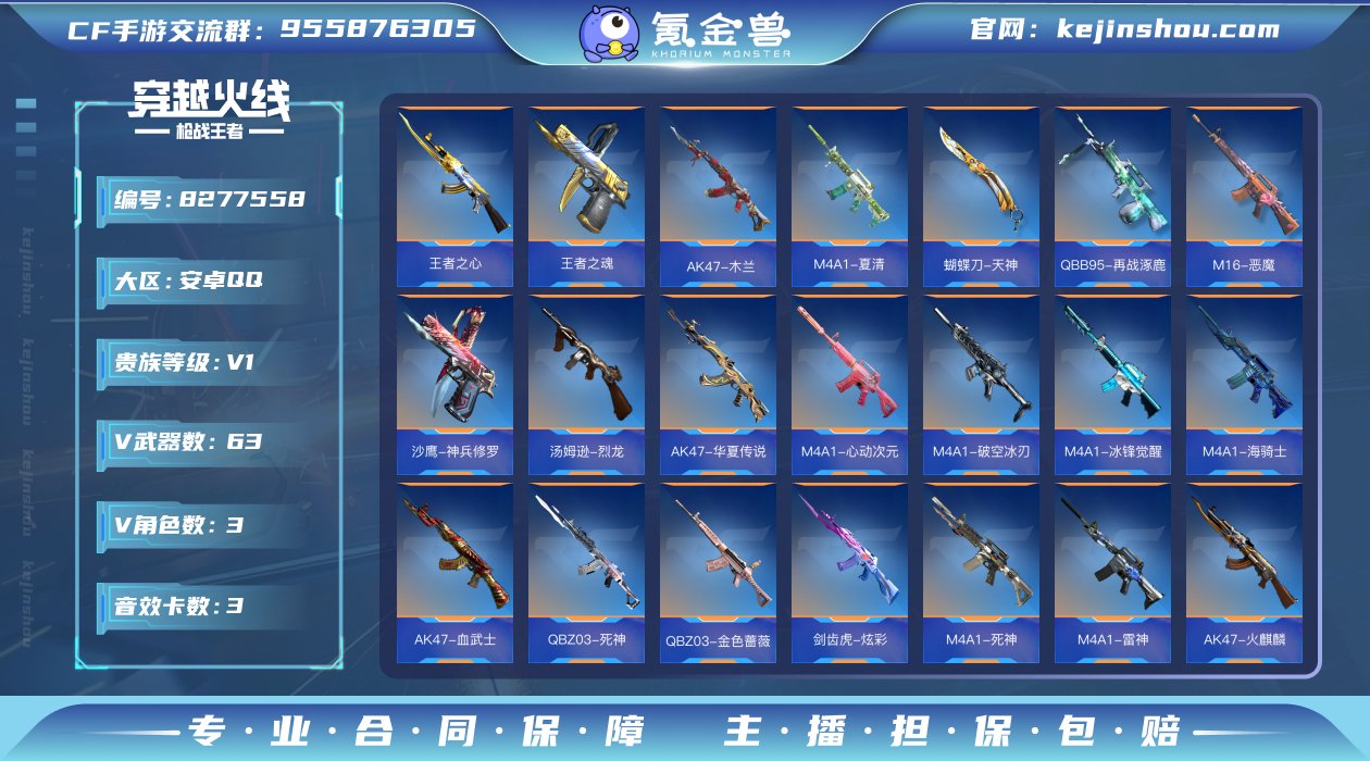 实名: 不可修改 v武器数: 63 王者武...