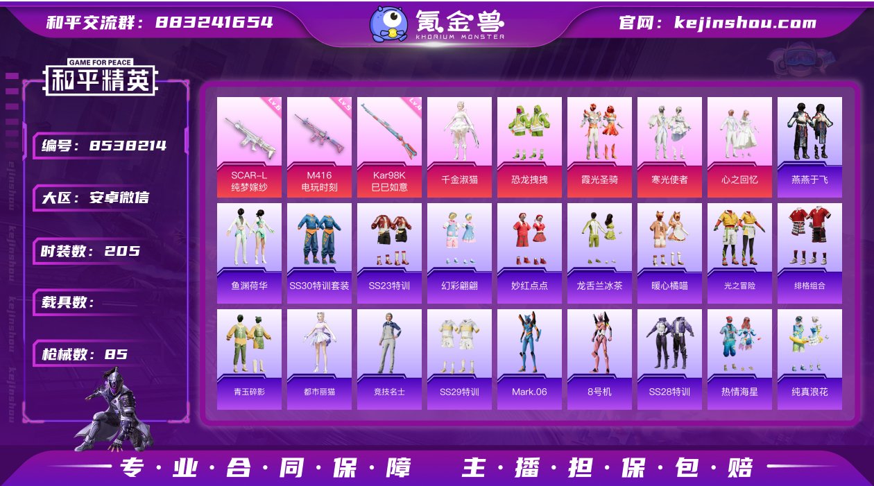实名: 不可修改 时装数: 205 枪械数...