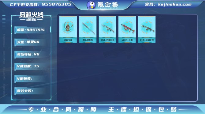 实名: 不可修改 v武器数: 75 王者武...