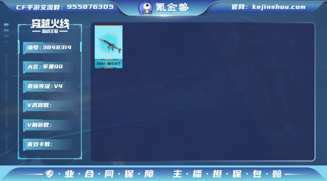 实名: 可修改 v武器: M4A1-破空冰刃