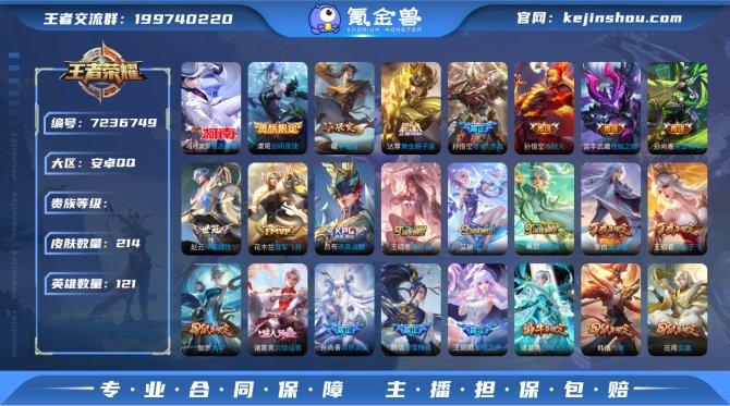 XY V8【214皮肤1珍品20传说】12...