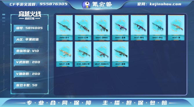 实名: 可修改 v武器数: 200 王者武...