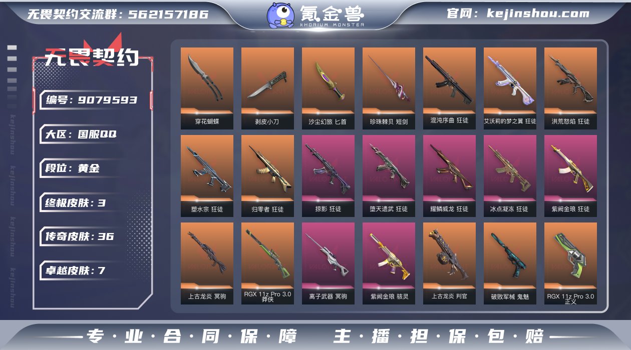 终极*3/传奇*36/卓越*7/皮肤*12...