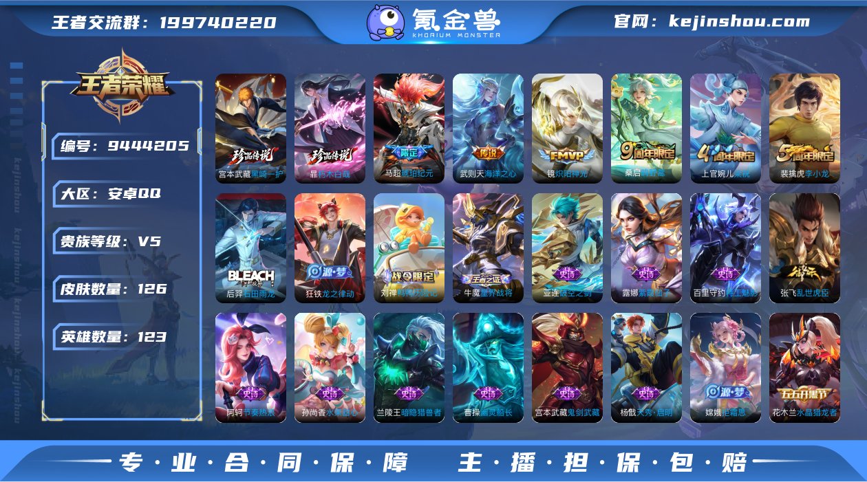 贵族V5 珍品传说2 传说皮肤4 史诗皮肤...