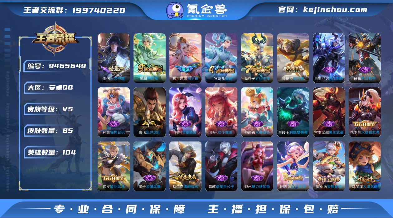 贵族V5 传说皮肤3 史诗皮肤22 皮肤数...