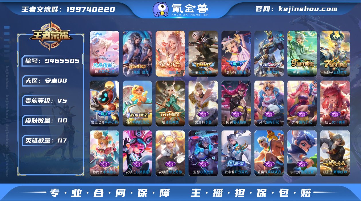 贵族V5 珍品传说2 传说皮肤4 史诗皮肤...