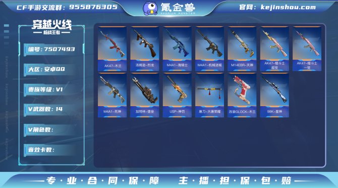 实名: 不可修改 v武器数: 14 v武器...