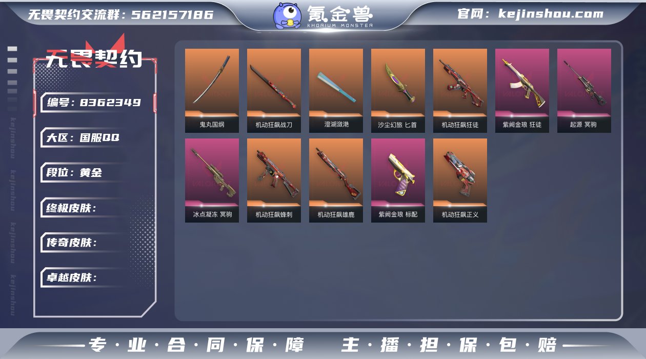 13橙皮 11紫皮 77皮肤 27英雄 1...