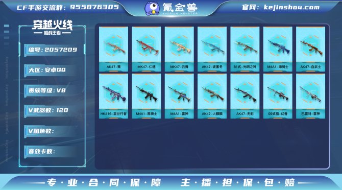 实名: 可修改 v武器数: 120 王者武...